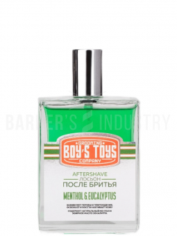 BOY`S TOYS Лосьон после бритья "Ментол & Эвкалипт" 100 мл