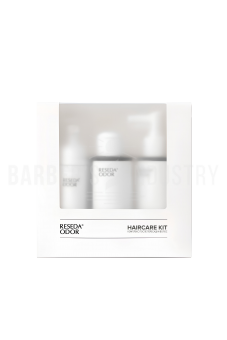 TOPGUN by RESEDAODOR  Комплекс после пересадки волос Haircare kit
